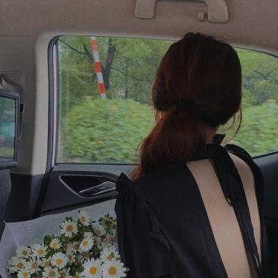 情来.算尽爱